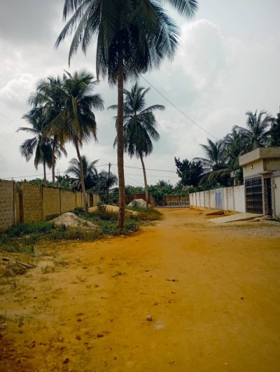1 lot cloturé avec titre foncier global à 200m de l'église cat.
