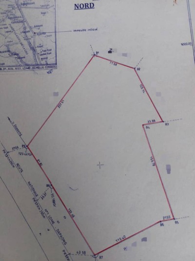 4,5 hectares avec titre foncier au bord du goudron