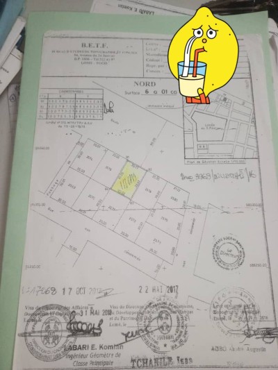 1 lot avec 3 tampons au bord du goudron