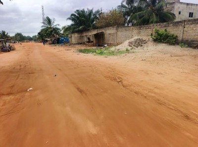 4 lots 1/4 collés cloturés avec titre foncier à 300m du goudron